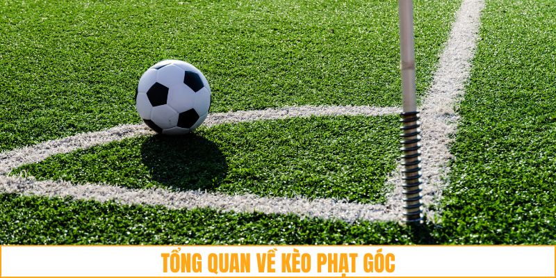Tổng quan về kèo phạt góc