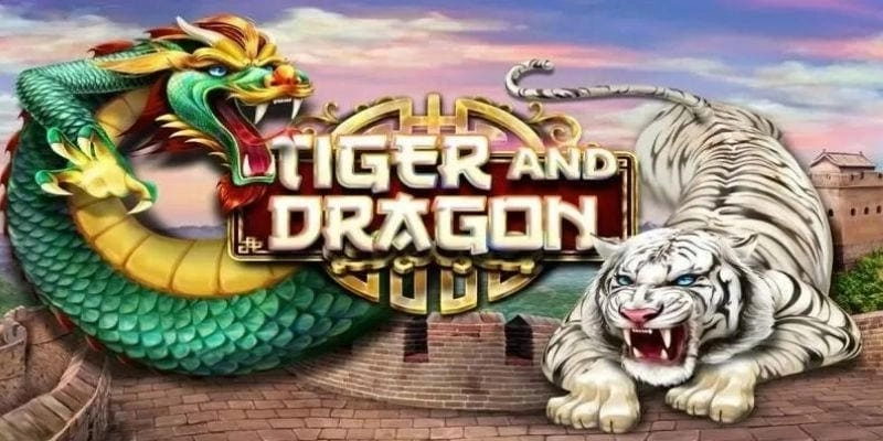 Tổng quan về trò chơi Rồng Hổ